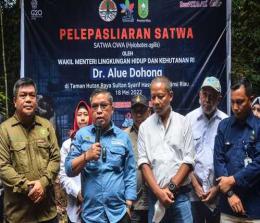 BBKSDA Riau melepasliarkan sepasang Owa Ungko di Taman Hutan Raya.